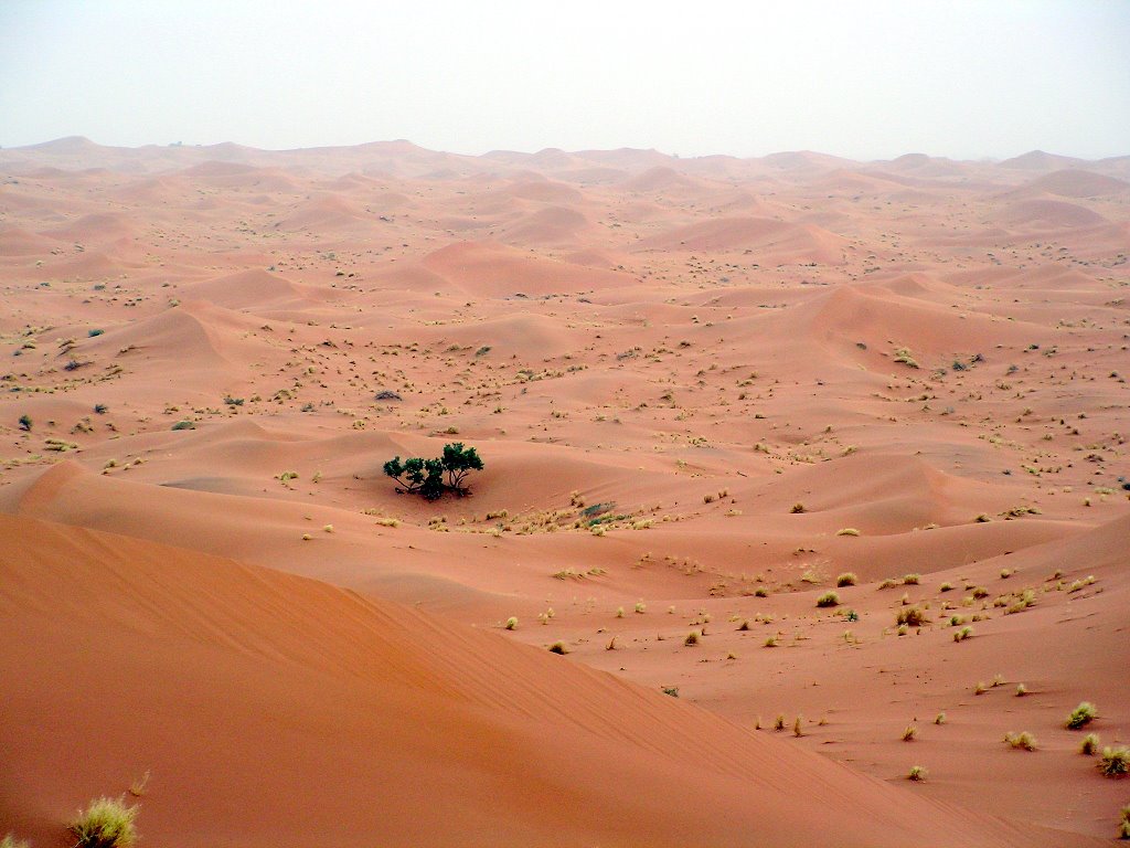 Zagora Province, Morocco by Bertrand sav