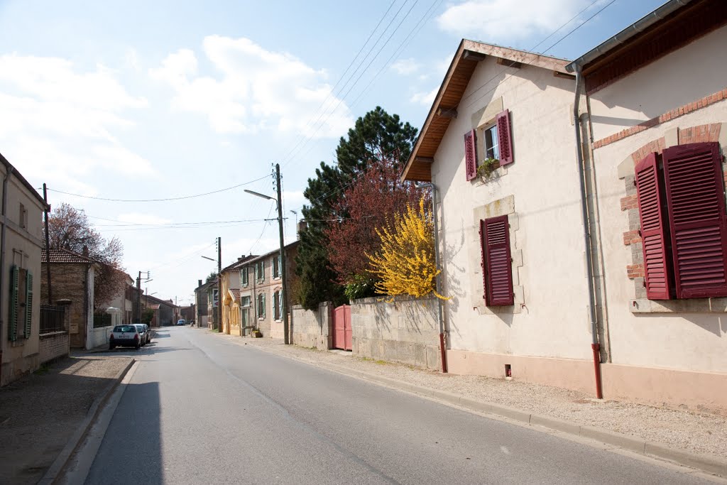 Rue principale de Vassincourt by Cyril Auboin