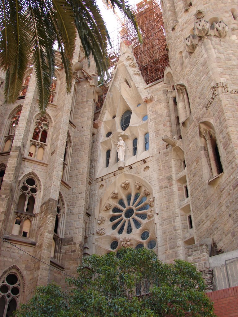 La Sagrada Familia, Barcelona by Carlos J. Sanchez Sa…