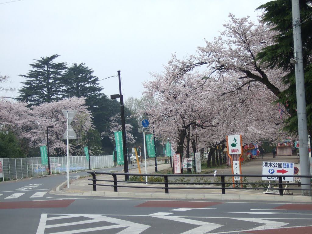 Shimizu park entrance by cyberbear