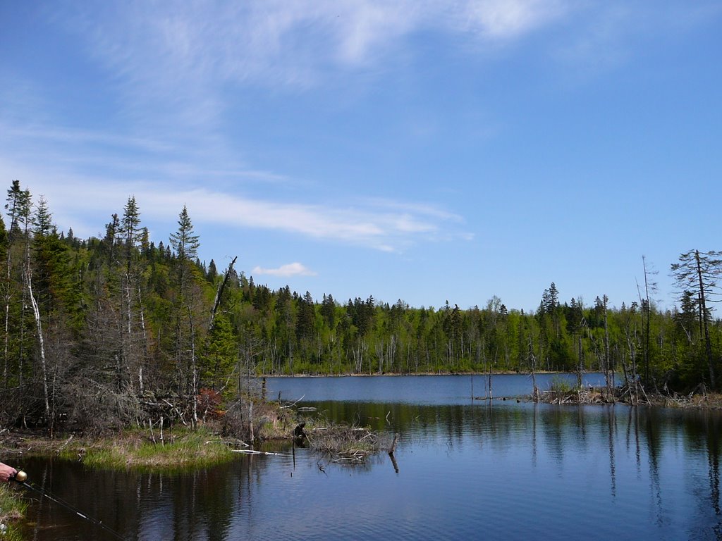 Lac Betsy by Réal Tremblay