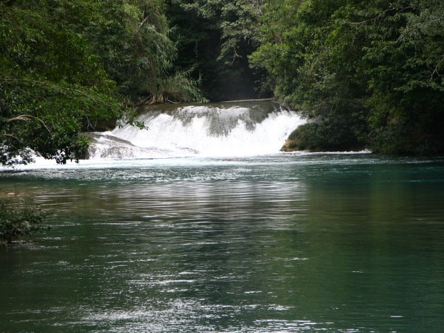 Agua azul Chiapas 1 by Juan Antonio Torres …