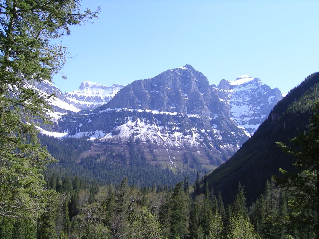 Peaks of Glacier National Park by Lissa C.