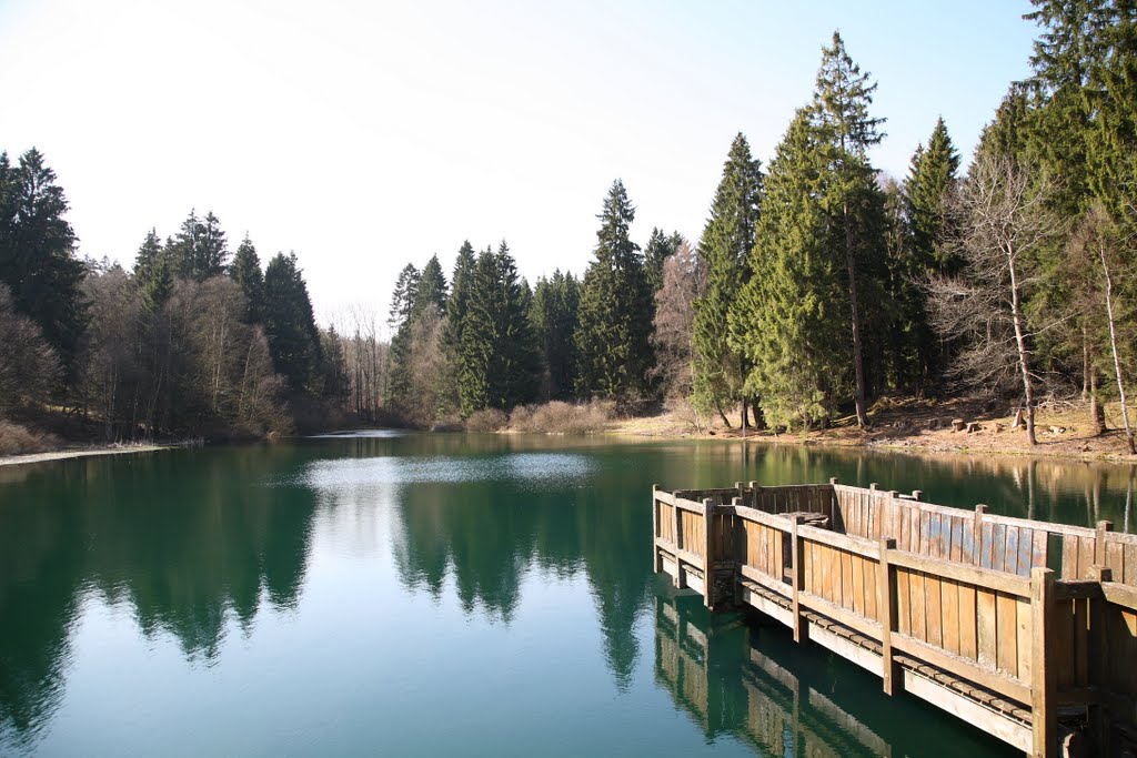 Glashütte - Lakenteich (Naturpark Solling - Vogler) by WitoldPB