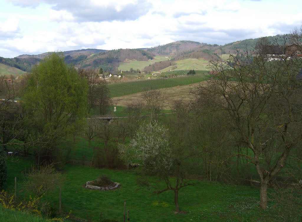 Ihre Fotos : in der Weltkarte, in Google Earth (KML) Klicken Sie auf die Fotos, um die ausgewählen Tags aufzurufen bzw. zu löschen. Fertig! Blick in die Weinberge vom Balkon des Gästehauses "Schwarzwälder Hof" Blick in die Weinberge vom Balkon des Gästehauses "Schwarzwälder Hof" by 80933