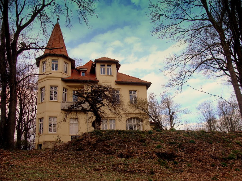 Villa von Einsidel by OldJo6