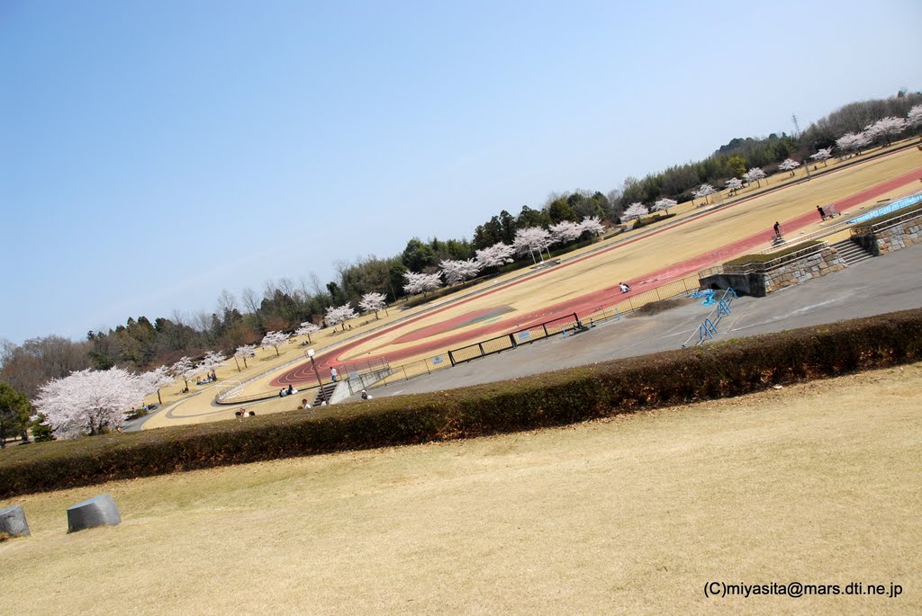 群馬県富岡市　もみじ平総合公園 by Miyashita Japan