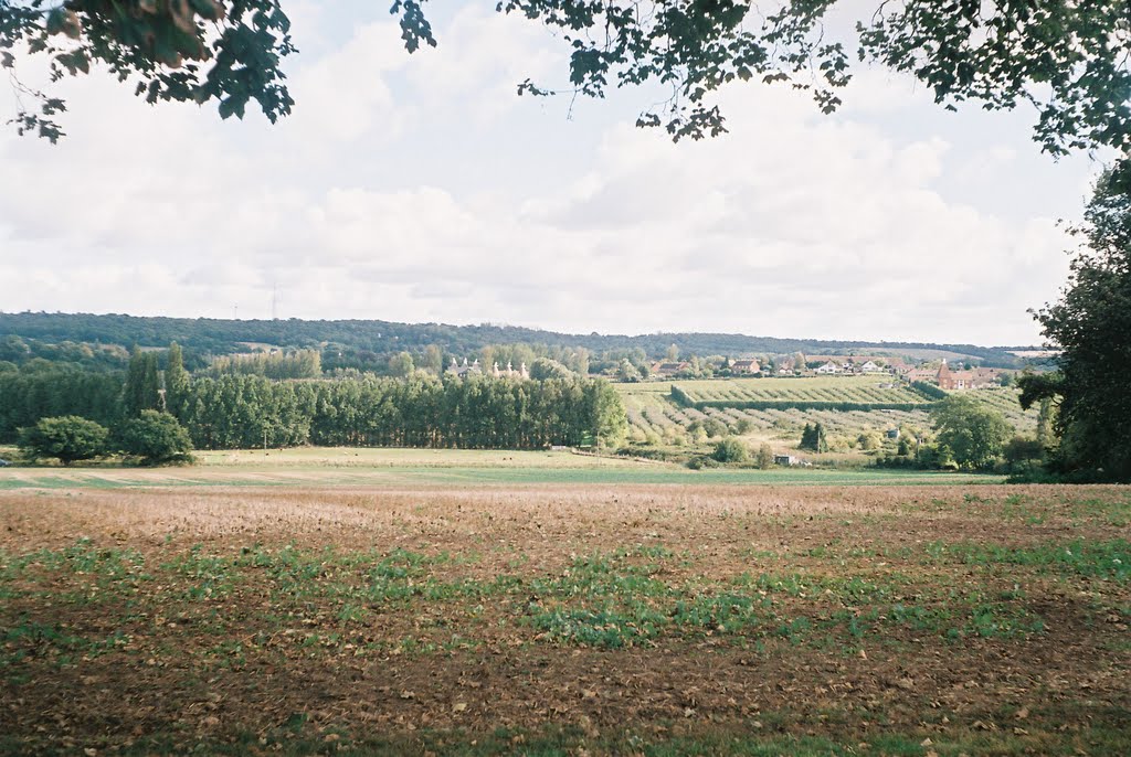 Faversham field by Civic Voice