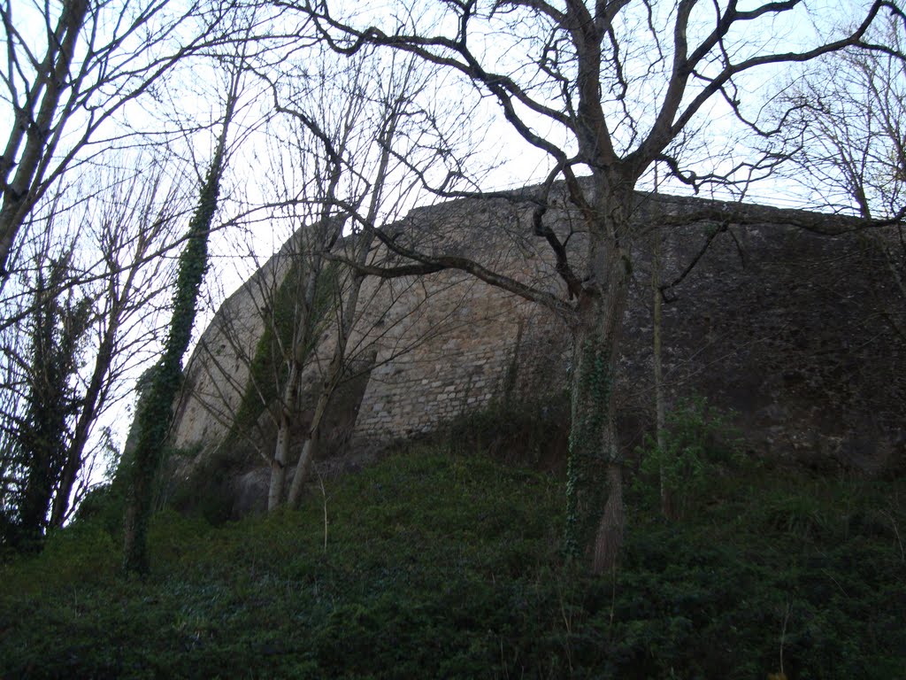 Remparts du chateau fort de La Roche-sur-Yon by William Chevillon