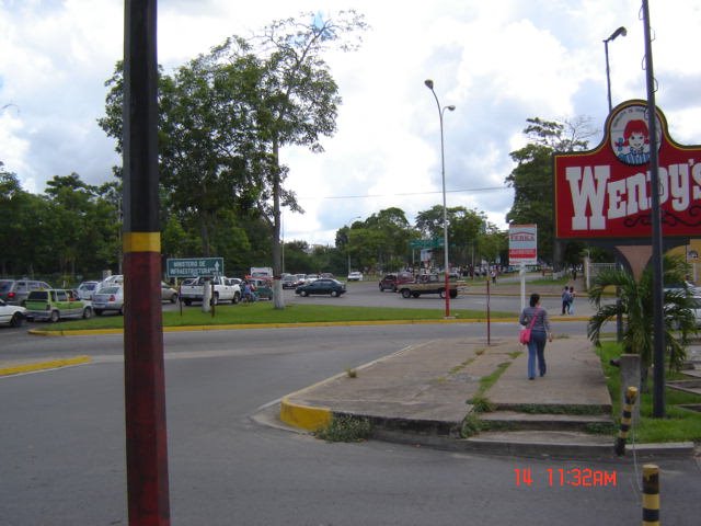 Av. Raul Leoni by bforkin