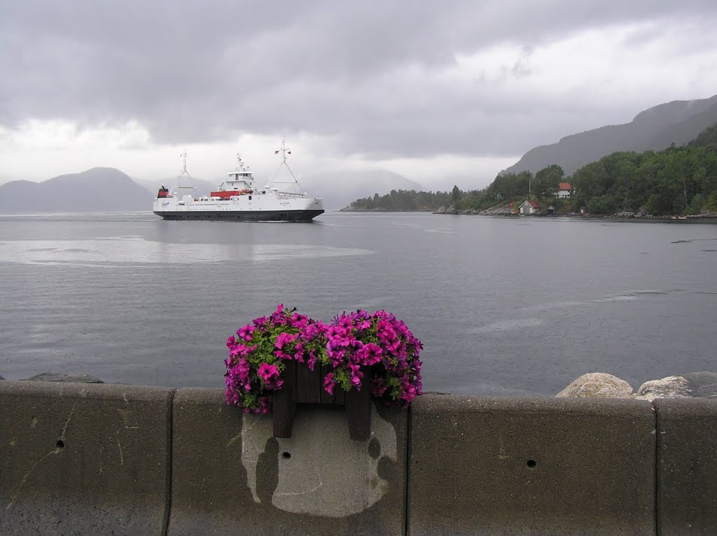 Ferry from Lavik to Oppedal over the Sognefjord by Willem Nabuurs