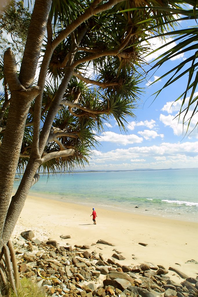 Noosa Heads by Rob Boudreau