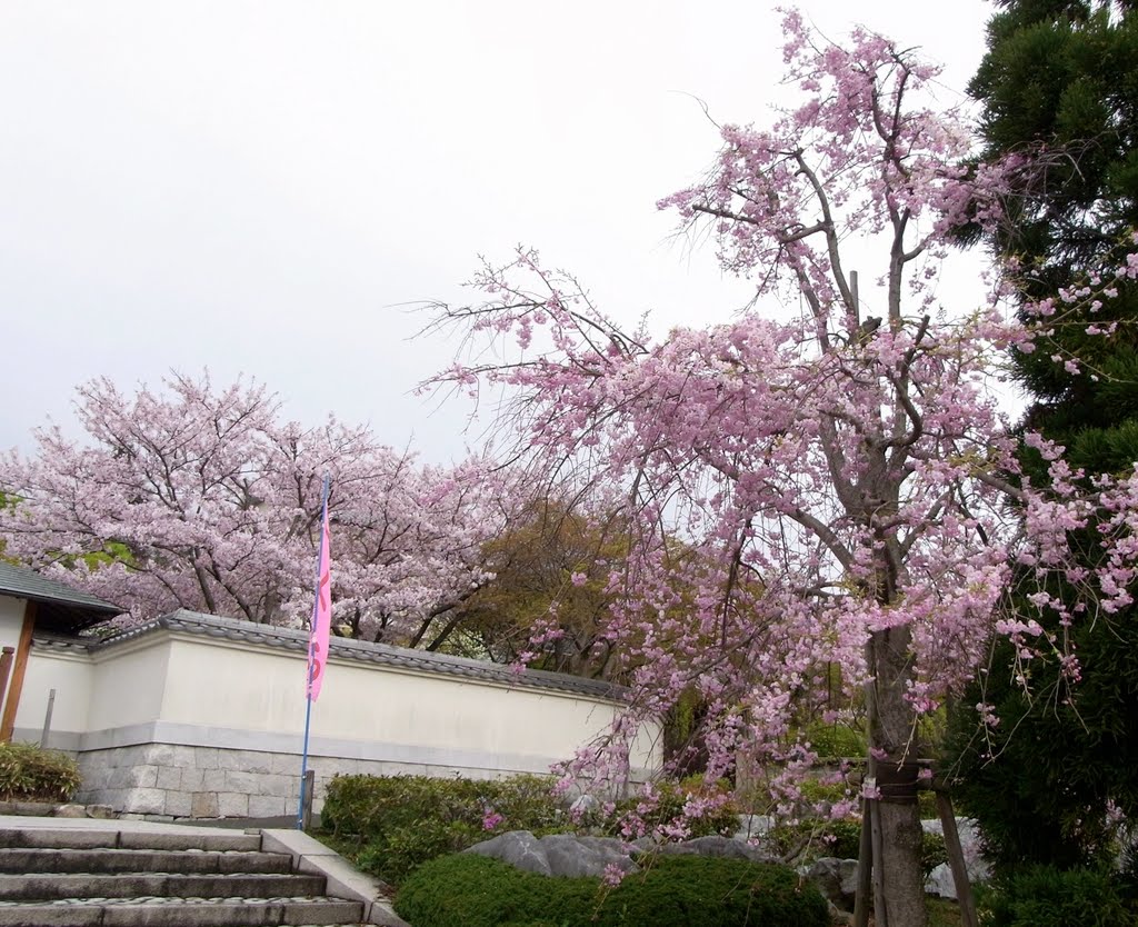 白野江植物公園 by gatarou