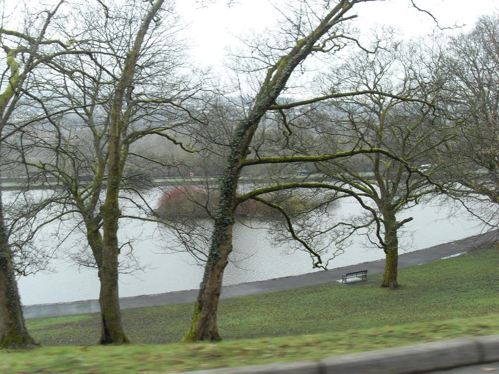 Cyfarthfa Castle grounds, Merthyr Tydfil by NMaher