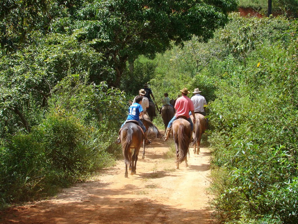 Brumadinho - Martins by BARBOSA®