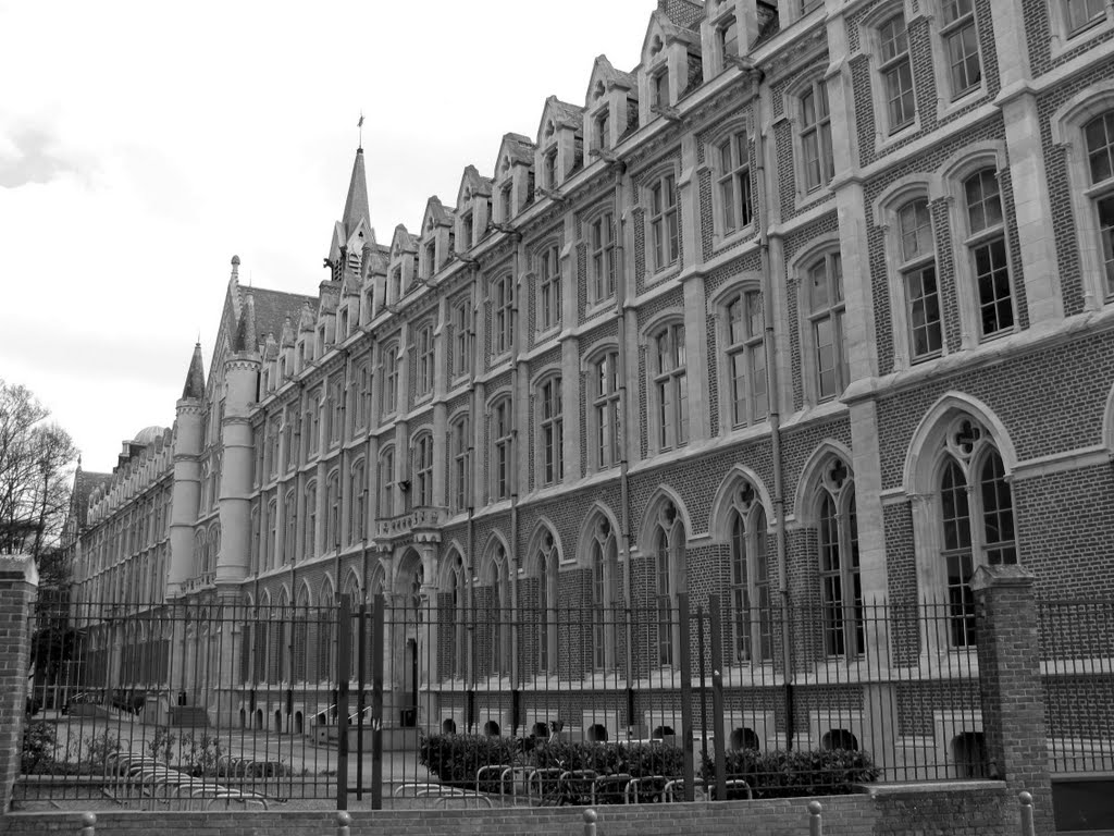 Faculté libre des sciences et technologies (Lille) by Guy Ferdinande