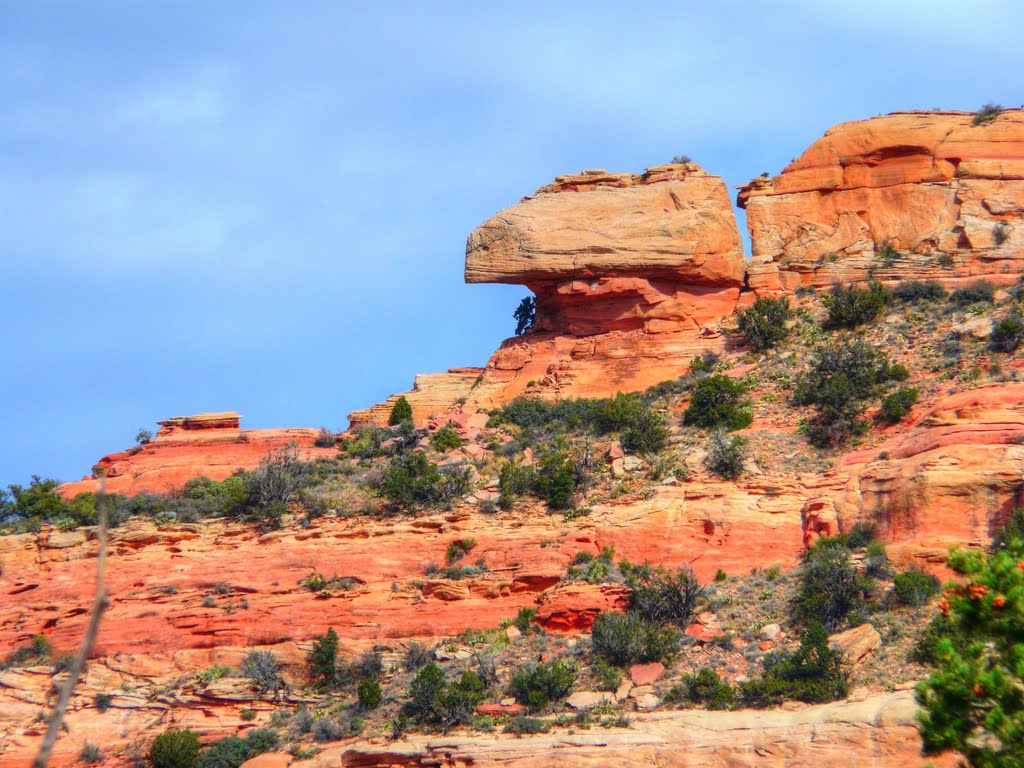 LIZARD HEAD, SEDONA by tlposcharsky