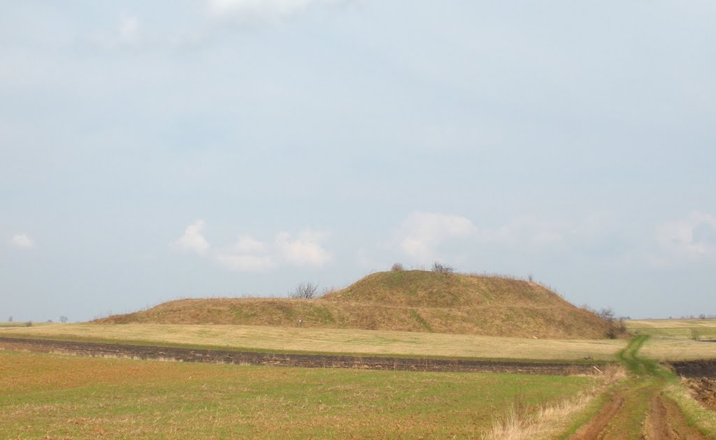 Padovinio piliakalnis (Padovinys mound) by MrEko