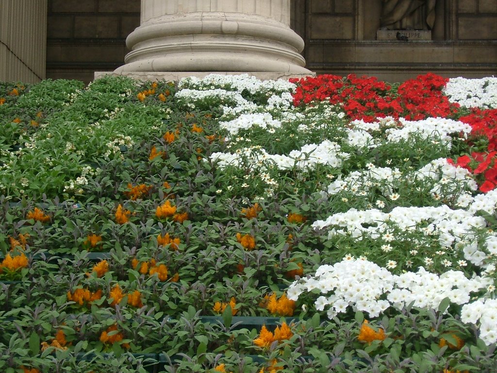 Flowers on "La Madeleine" Staires by AlexMatos