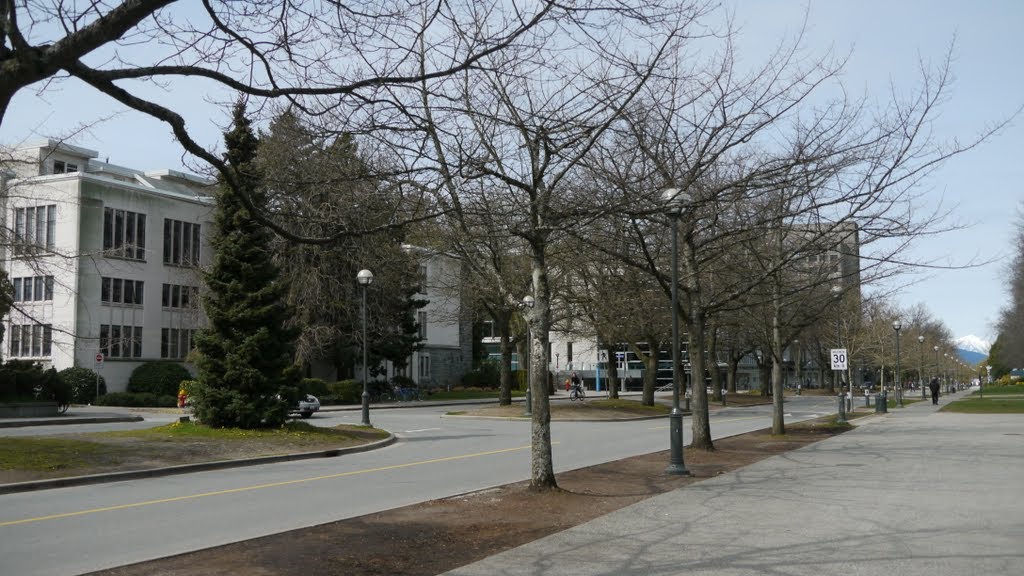 Vancouver, UBC (University of British Columbia) : E Mall Street, bâtiments & montagne by SteF