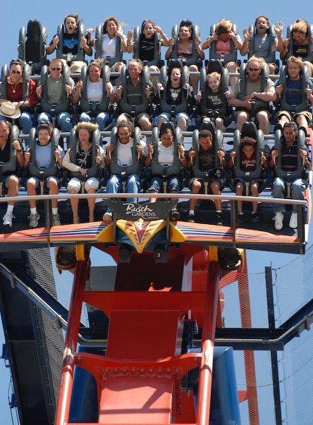 Sheikra at Busch Gardens, Tampa Bay, FL by michellenault