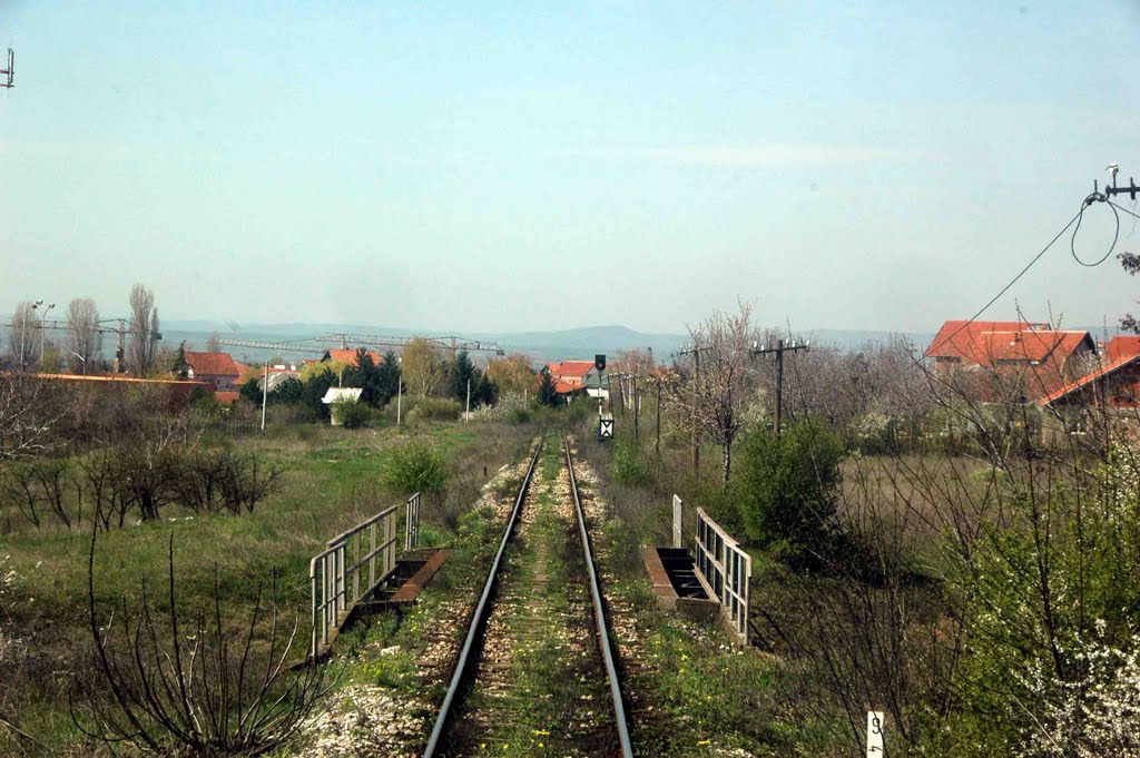 Pruga i most prema Panteleju by Teča sa Dunava