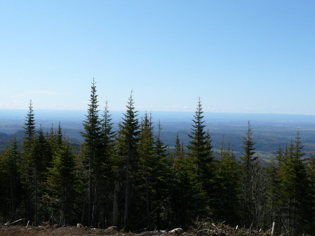 Vue du Dos de Cheval - Panorama 03 by Réal Tremblay