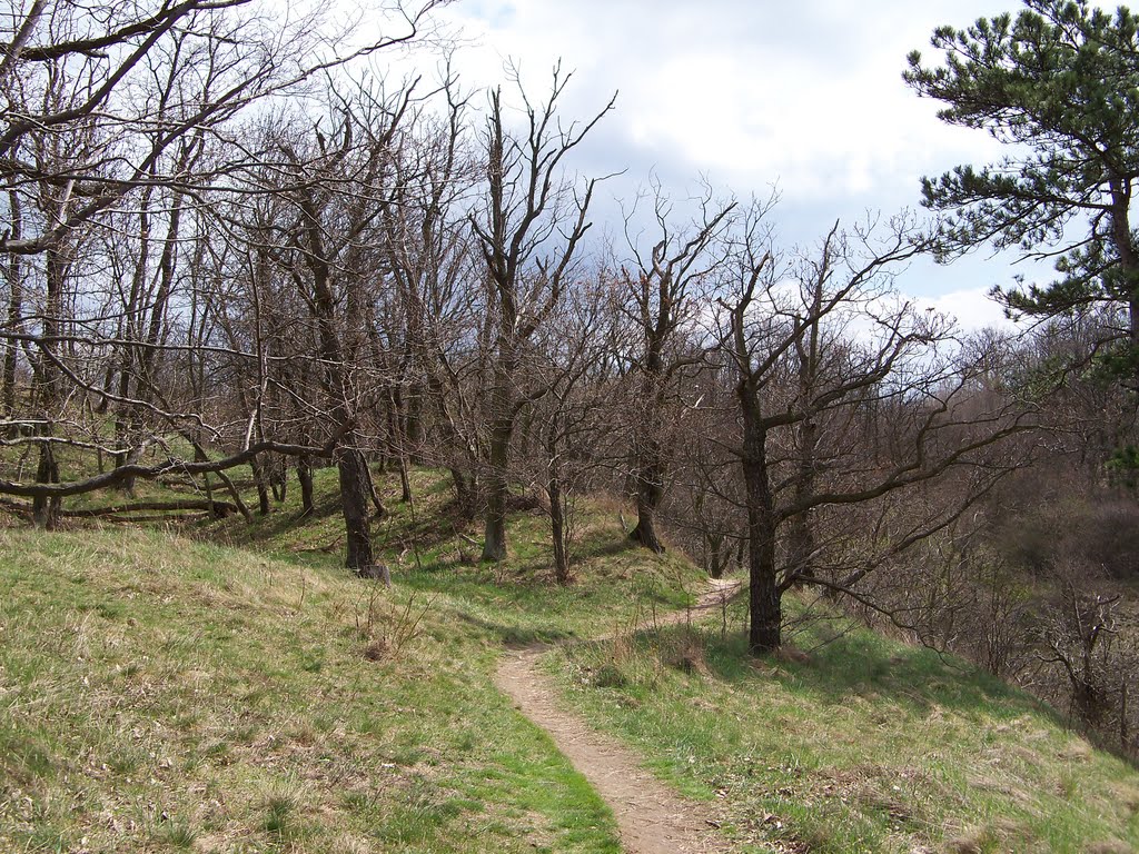 Předjaří nad Jarovem by miissanek