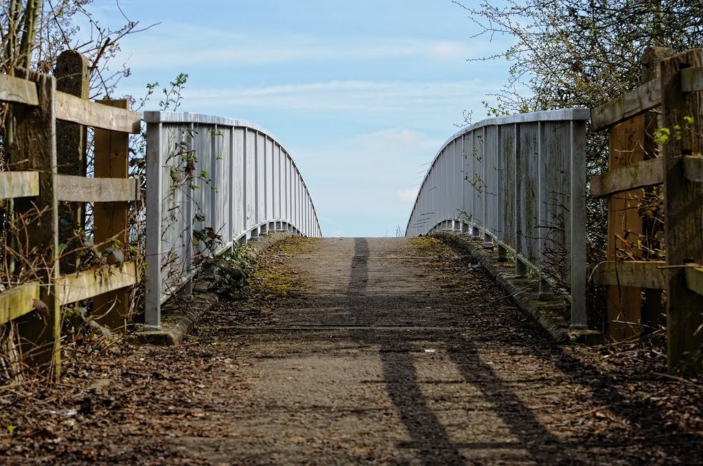 Bridge over ring road by xiod_crlx / dmitry gramoteyev