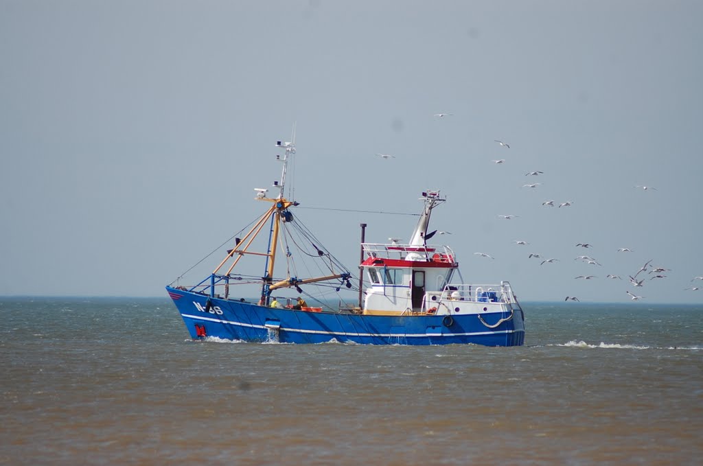 Garnele Schiff - Shrimping-boat (3) by Lecleire Jacques