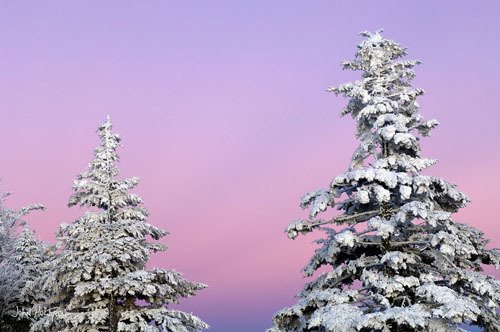 Rime Frost at Clingman's Dome by John Hultgren Photog…