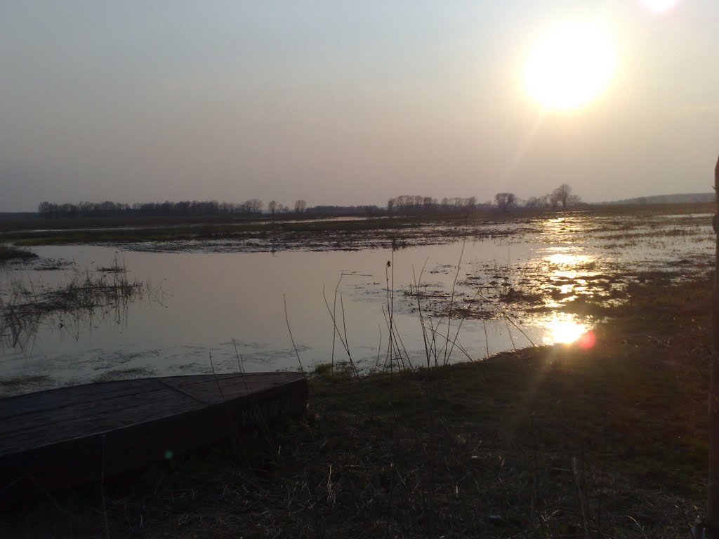 Narew - last natural river in EU (spring 2010) by 3po3