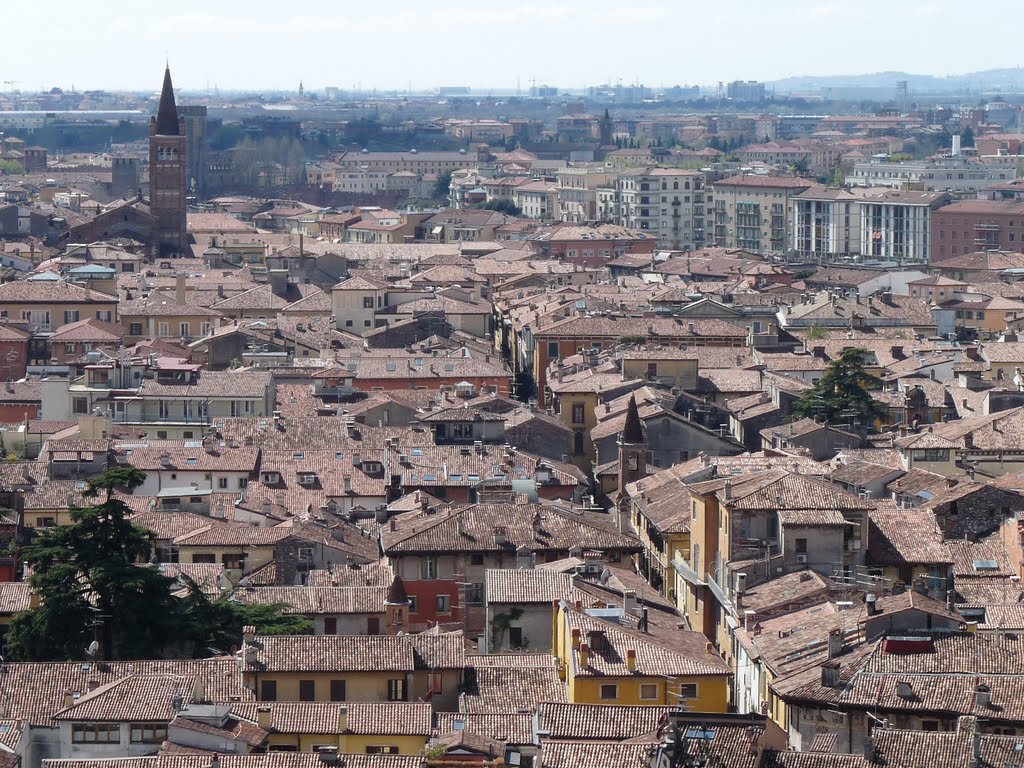 View on Verona by ludka08