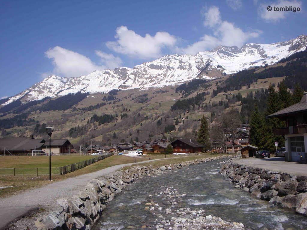 Les Diablerets 3 by ©tombligo