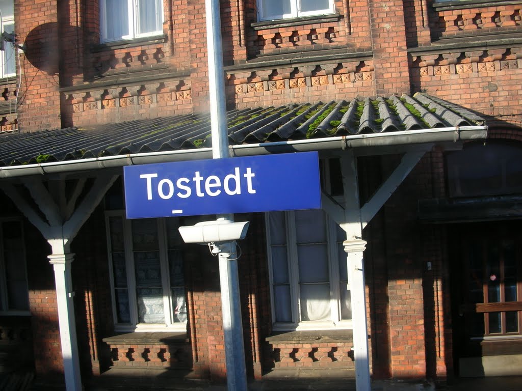 Tostedt, Bahnhof by Wildhunter