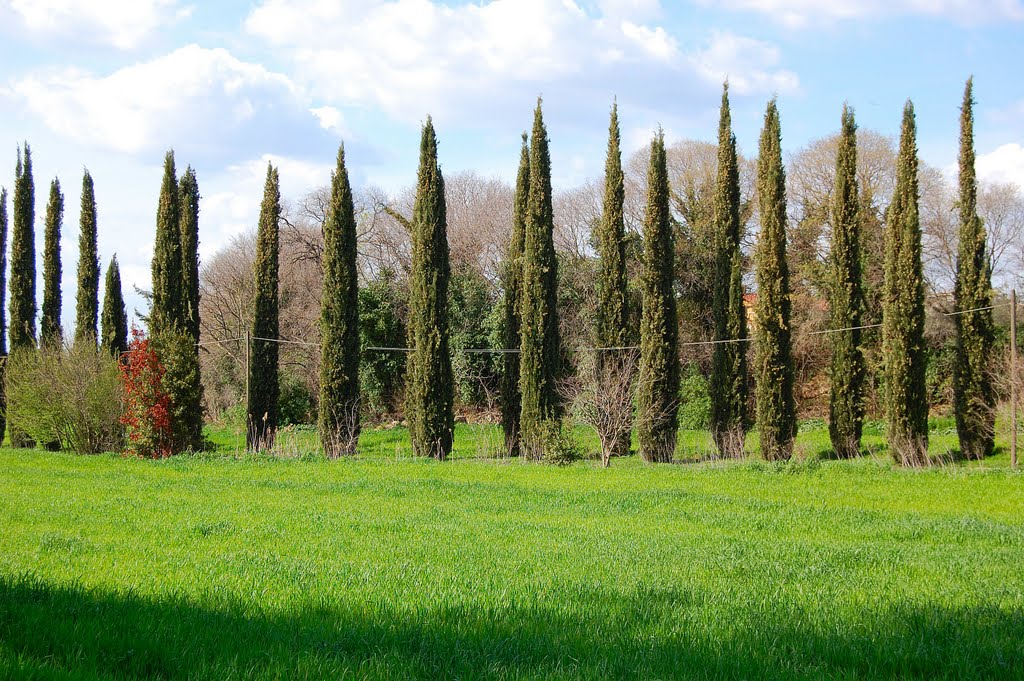 Villa Adriana - Tivoli (Lazio - Italia) by Les Argonautes