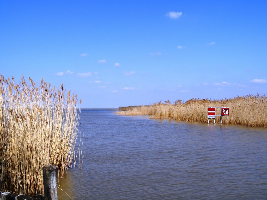 Fertő-tó by Kölesdi Ferenc