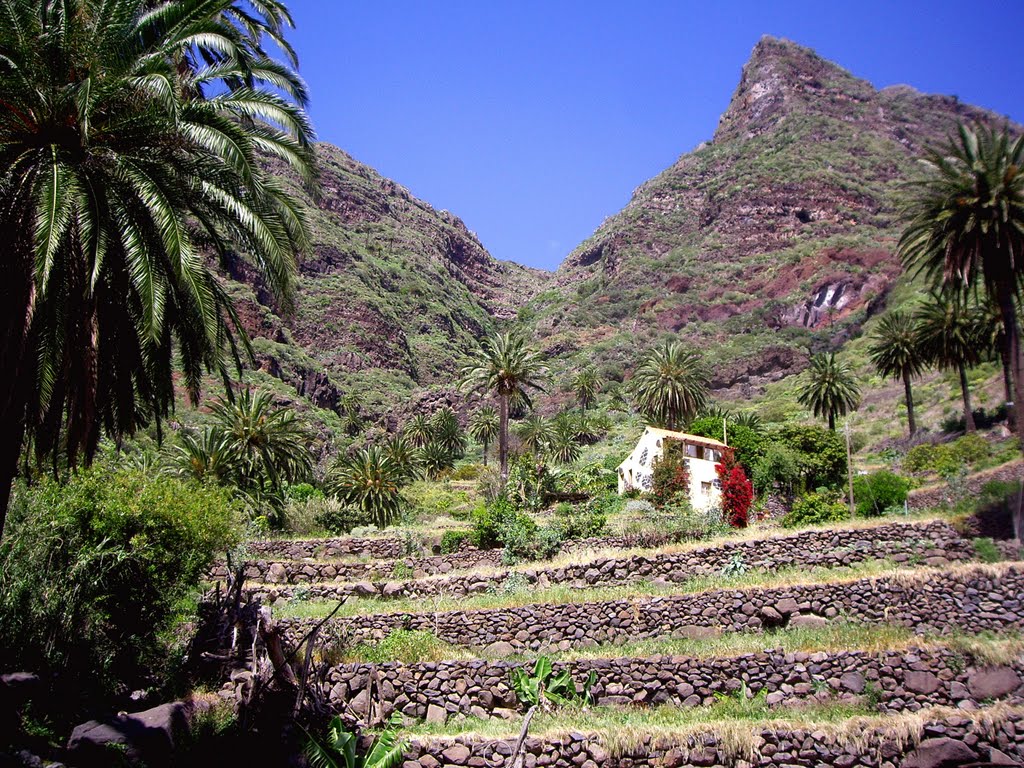 Casa y Huertas, lo típico en La Gomera by Carlos Pérez