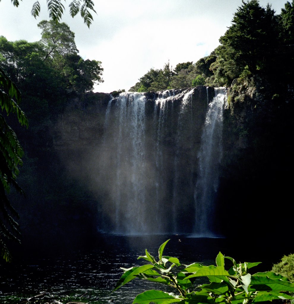 Rainbow Falls Kerikeri by frabn