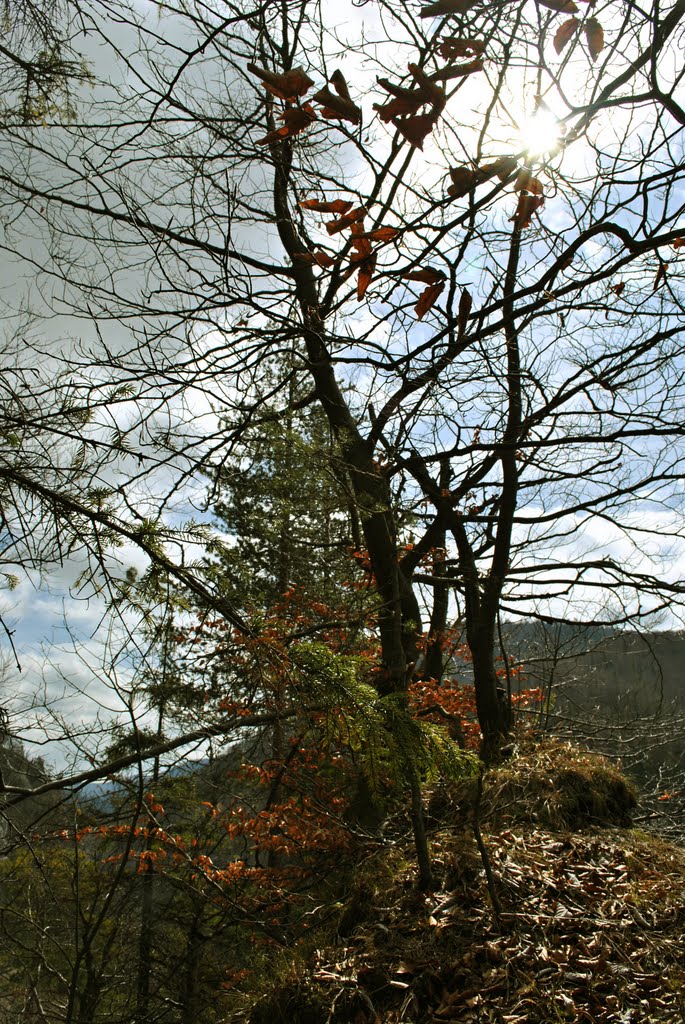 Marec nad stanicou by © Ľudo T. 01.