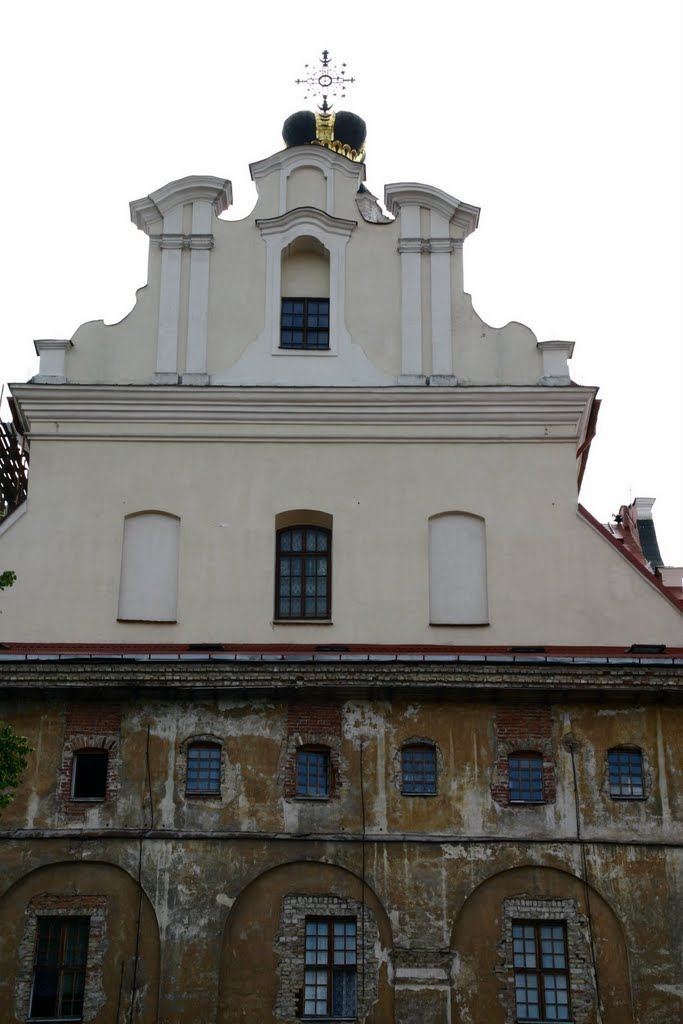 The Jesuit Church of St. Casimir by rimas