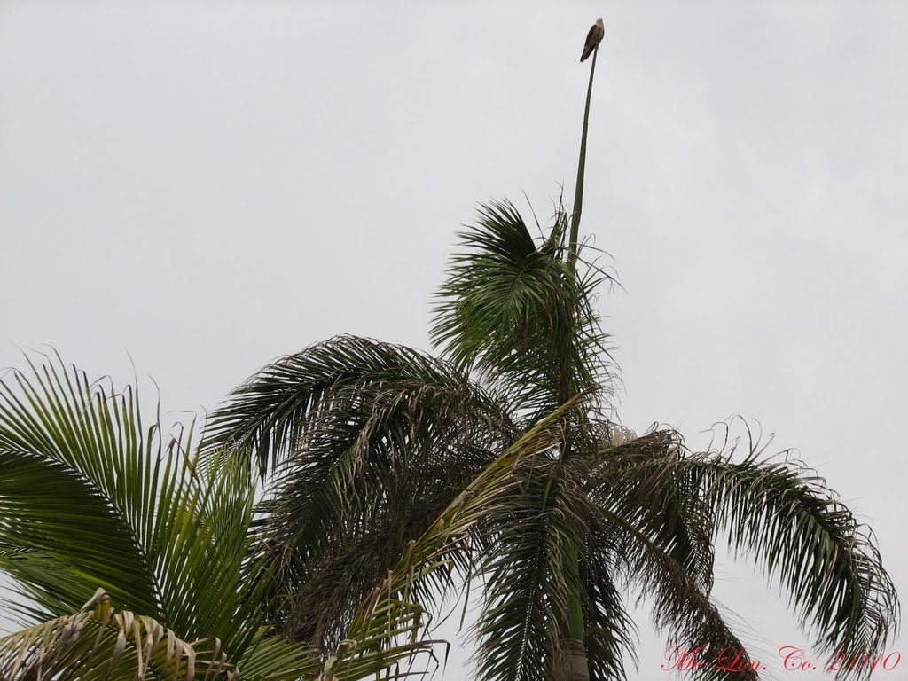 Barranquilla - Atlántico. by Ed.Me.Mo.