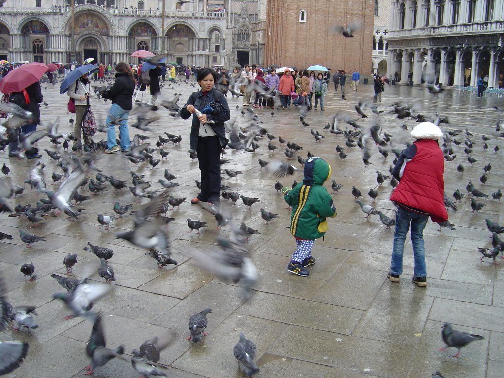 Piazza San Marco in Venice by chezandy