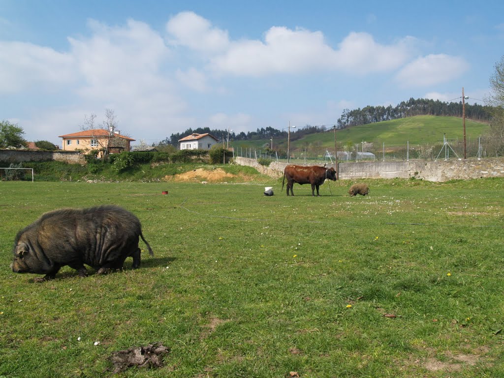 Granja Escuela Palacio de La Bouza, Riberas, Pravia ( Asturias ) by Corticata