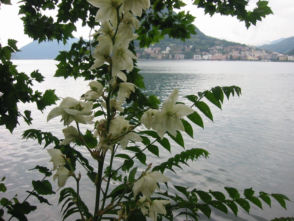 Villa Ciani - Lago II by Alice83