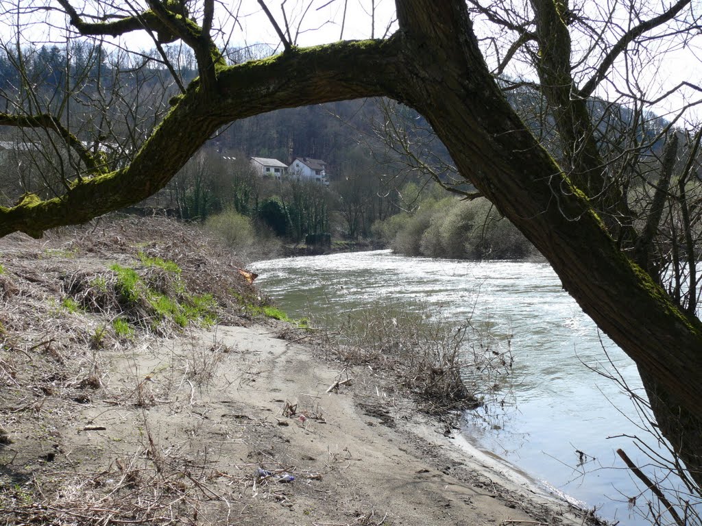 Naturschutzgebiet bei Nievern by K.Herr