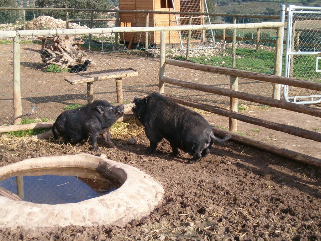 Valle de Abdalajís, 29240, Málaga, Spain by Dennis Adams