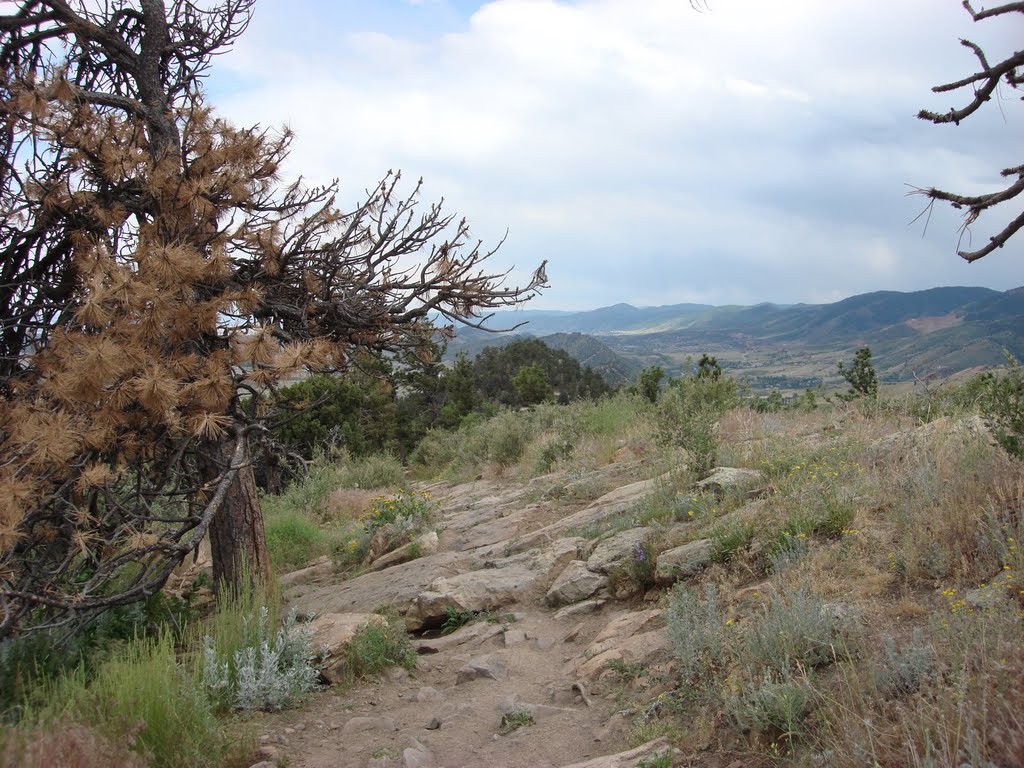 Denver - Dakota Ridge by Bill Gorski