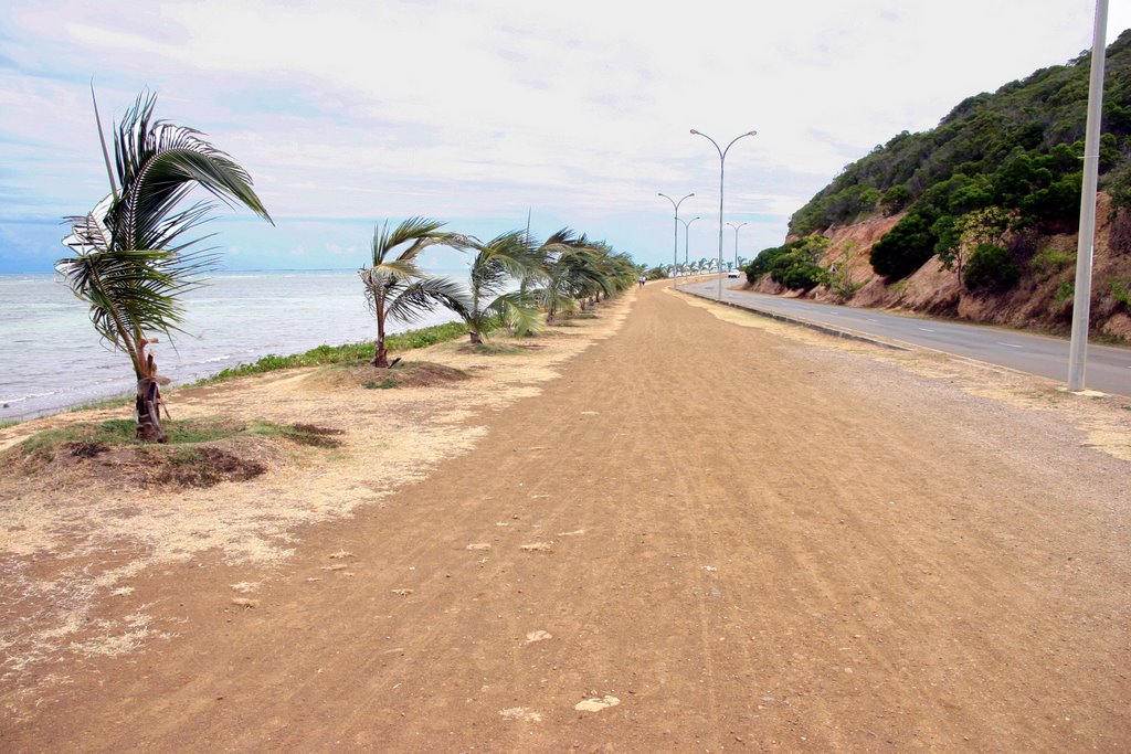 Allée Pierre Vernier (Nouméa) by voyages-en-images.co…