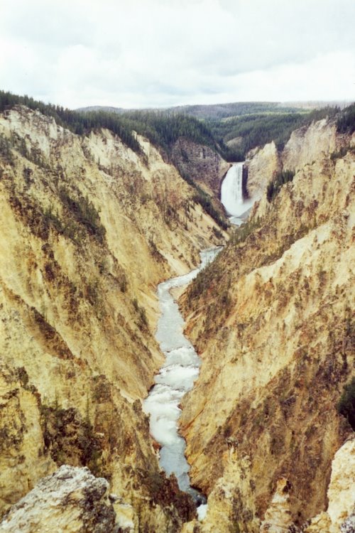 View of Upper Yellowstone Falls from Artist Point by HDingeldein